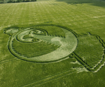 First Morning at The Phoenix Crop Circle