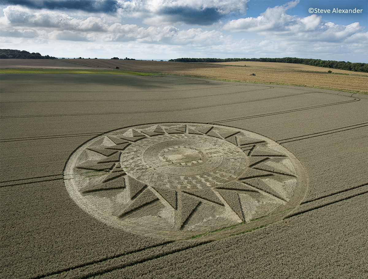 The Call: Crop Circle Experiencers